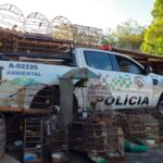 Polícia Militar Ambiental resgata 40 aves silvestres em cativeiro no município de Agudos