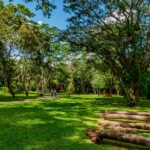 Jardim Botânico de Bauru celebra 32 anos como centro de conservação e educação ambiental