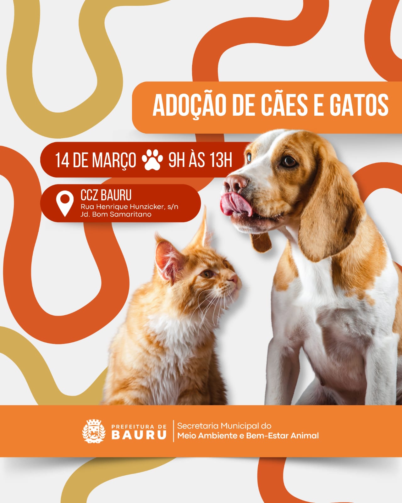 Evento ‘Adote um Amigo’ com cães e gatos acontece neste sábado em Bauru