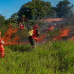 Seca aumenta risco de queimadas em Bauru