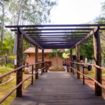 Horto Florestal realiza aula aberta de Tai chi chuan neste domingo