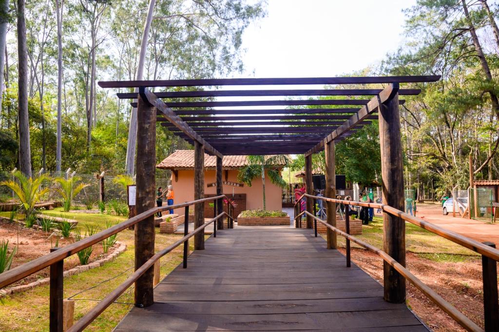 Horto Florestal realiza aula aberta de Tai chi chuan neste domingo