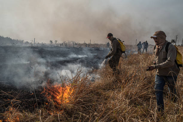 Defesa Civil faz alerta para o aumento do risco de incêndios em São Paulo entre junho e outubro