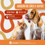Bauru recebe o programa ‘Adote um Amigo’ neste sábado (09)