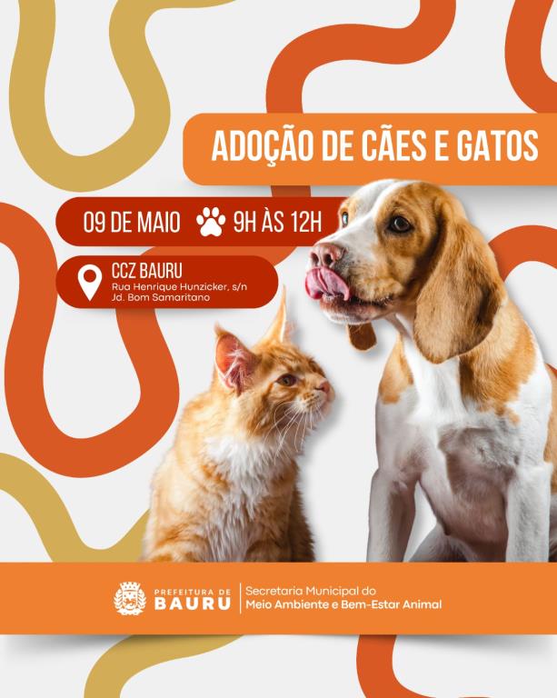Bauru recebe o programa ‘Adote um Amigo’ neste sábado (09)