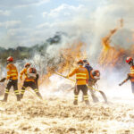 Governo Federal destina R$ 337 milhões para o enfrentamento de incêndios florestais