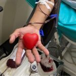 Dia Mundial do Doador de Sangue: Hemovida vai homenagear doadores nesta segunda-feira (15)