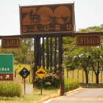 Pré-inscrição do Curso de Férias do Zoológico de Bauru será iniciado nesta segunda-feira