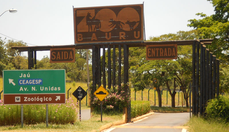 Pré-inscrição do Curso de Férias do Zoológico de Bauru será iniciado nesta segunda-feira