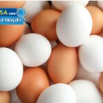 É falso o alerta sobre ovos com plástico ou petróleo, esclarece Anvisa