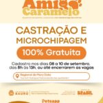 Programa “Amigo Caramelo” abre cadastro presencial para a castração gratuita de animais na etapa do Mary Dota