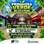 “Primavera Verde”: Calçadão de Bauru recebe distribuição gratuita de mil mudas neste sábado