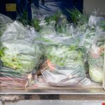 Prefeitura de Bauru entrega cestas verdes para famílias em situação de vulnerabilidade 